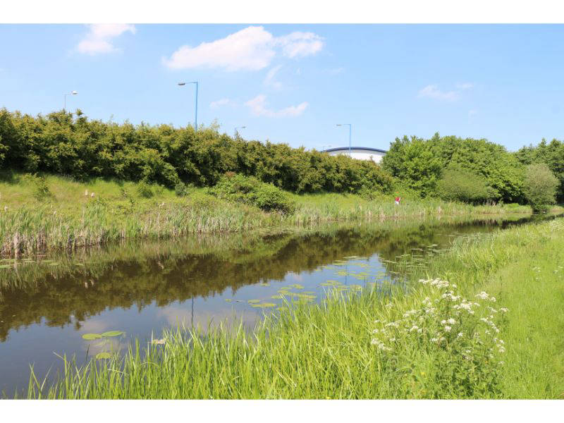 Site of the Bilston Branch