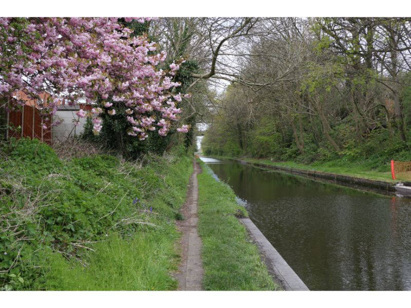 Approaching Scott Bridge