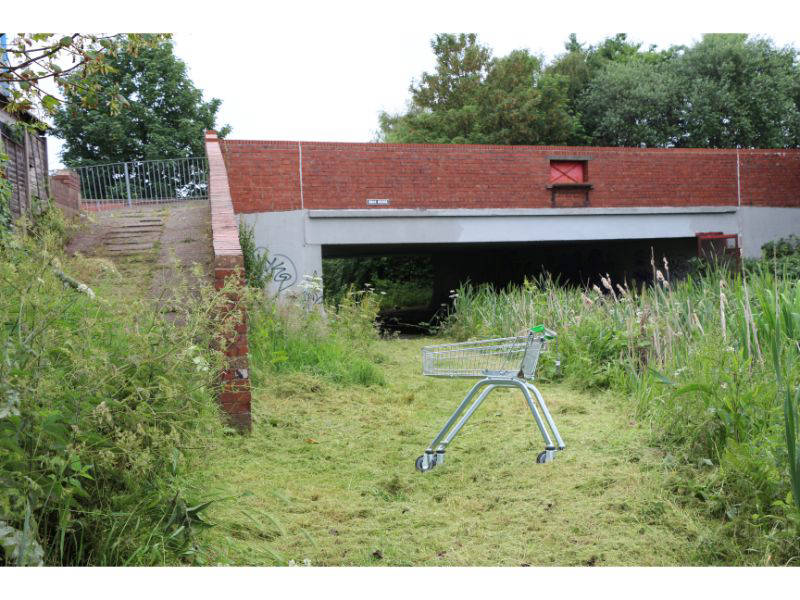 Swan Bridge and obligatory shopping trolley