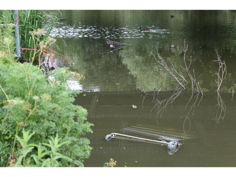 Canals attract shopping trollies like moths to a flame