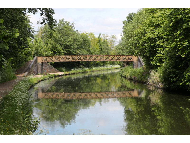 Lattice Accommodation Bridge