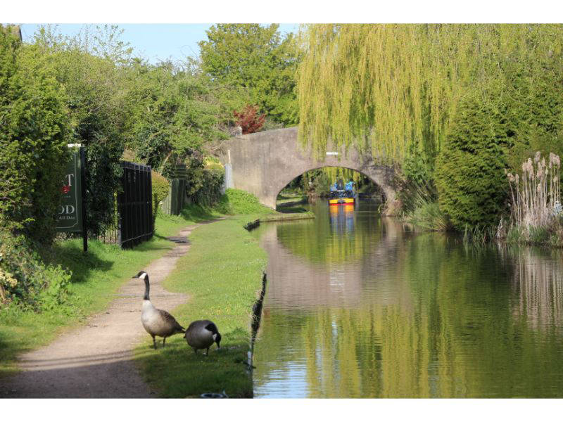 Looking back from The Boat to Dickens Bridge