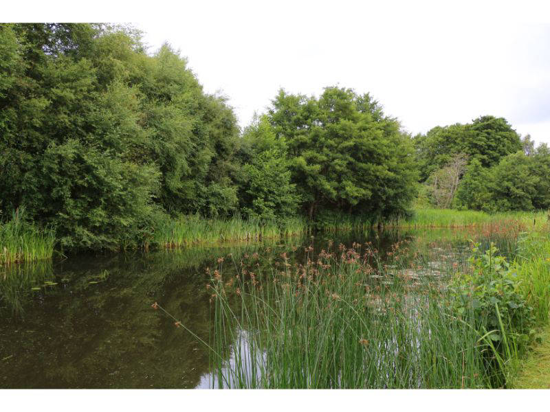 Former Entrance To Slough Arm