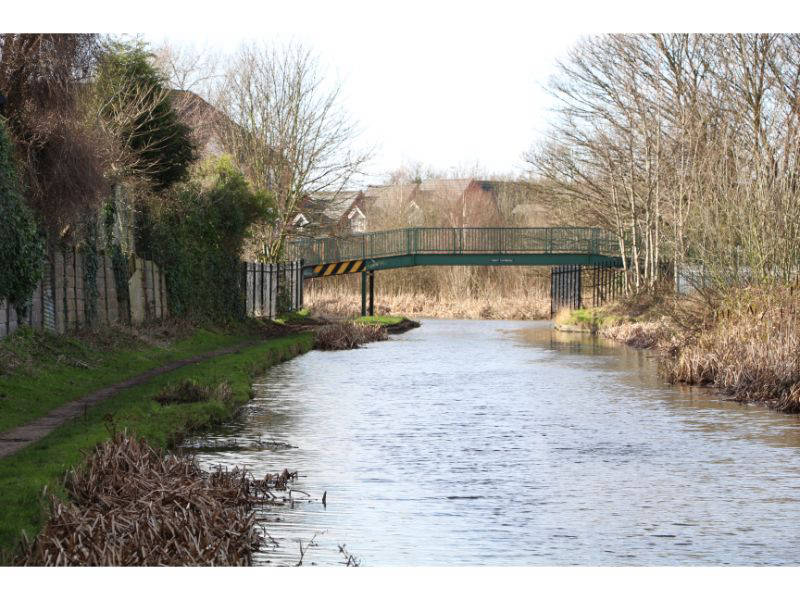 Forest Footbridge