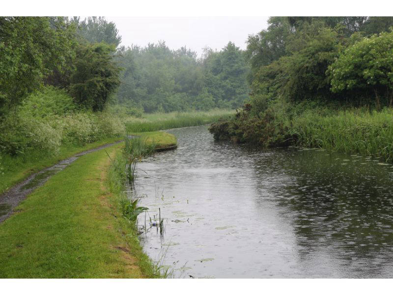Roughwood Narrows